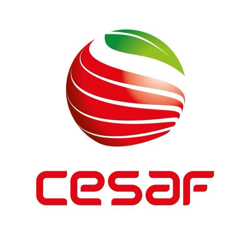 Cesaf