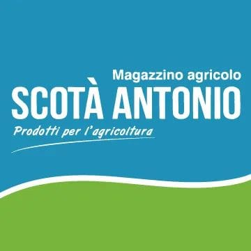 Scottà Antonio
